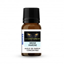 Huile de Parfum 10ml Brise...