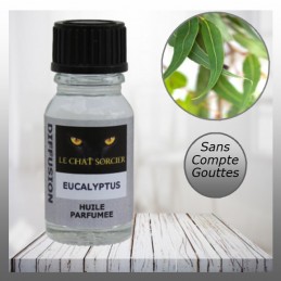 Huile Parfumée 10ml Eucalyptus