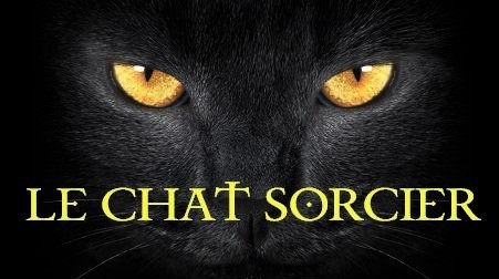 Le Chat Sorcier